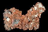 Natural Native Copper Formation - Bagdad Mine, Arizona #178067-1